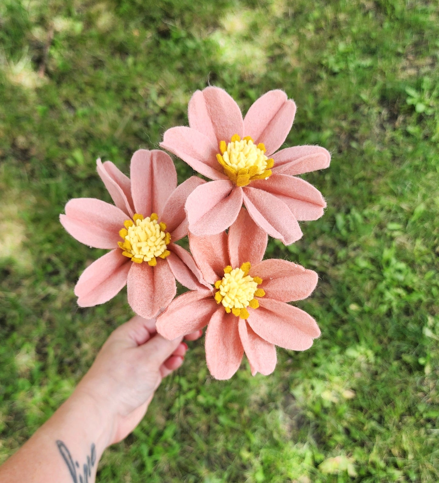 Cosmos Stem