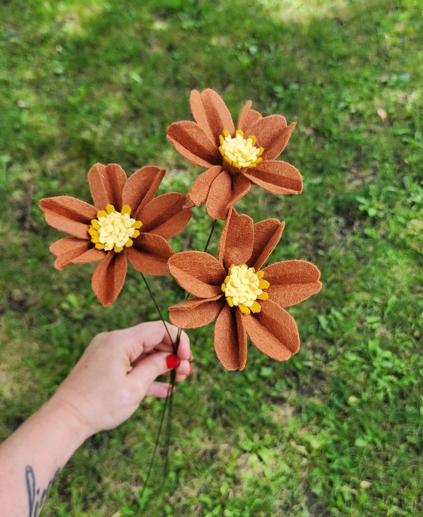 Cosmos Stem