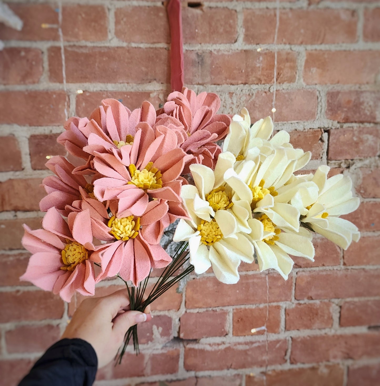 Cosmos Stem