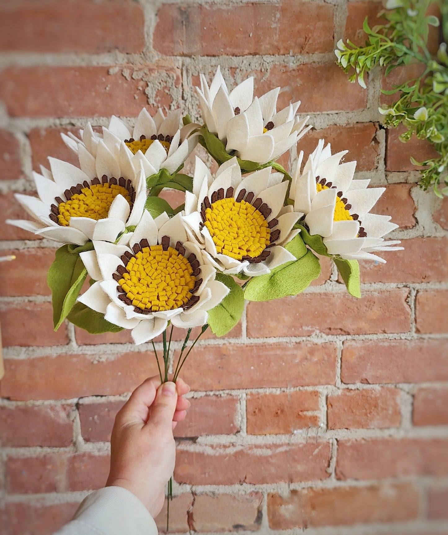 Sunflower Stem