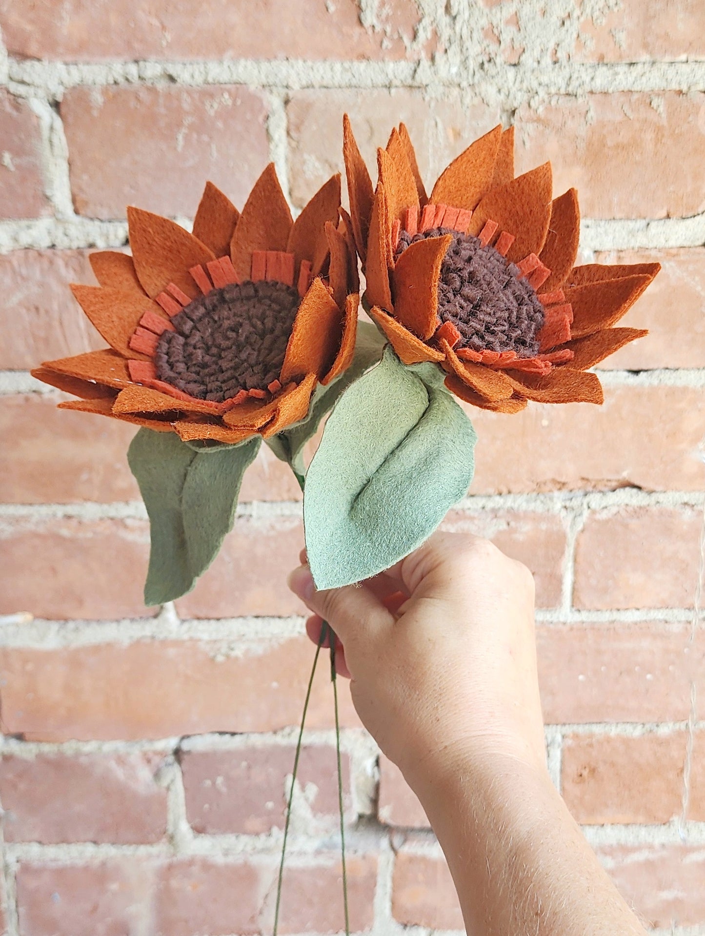 Sunflower Stem