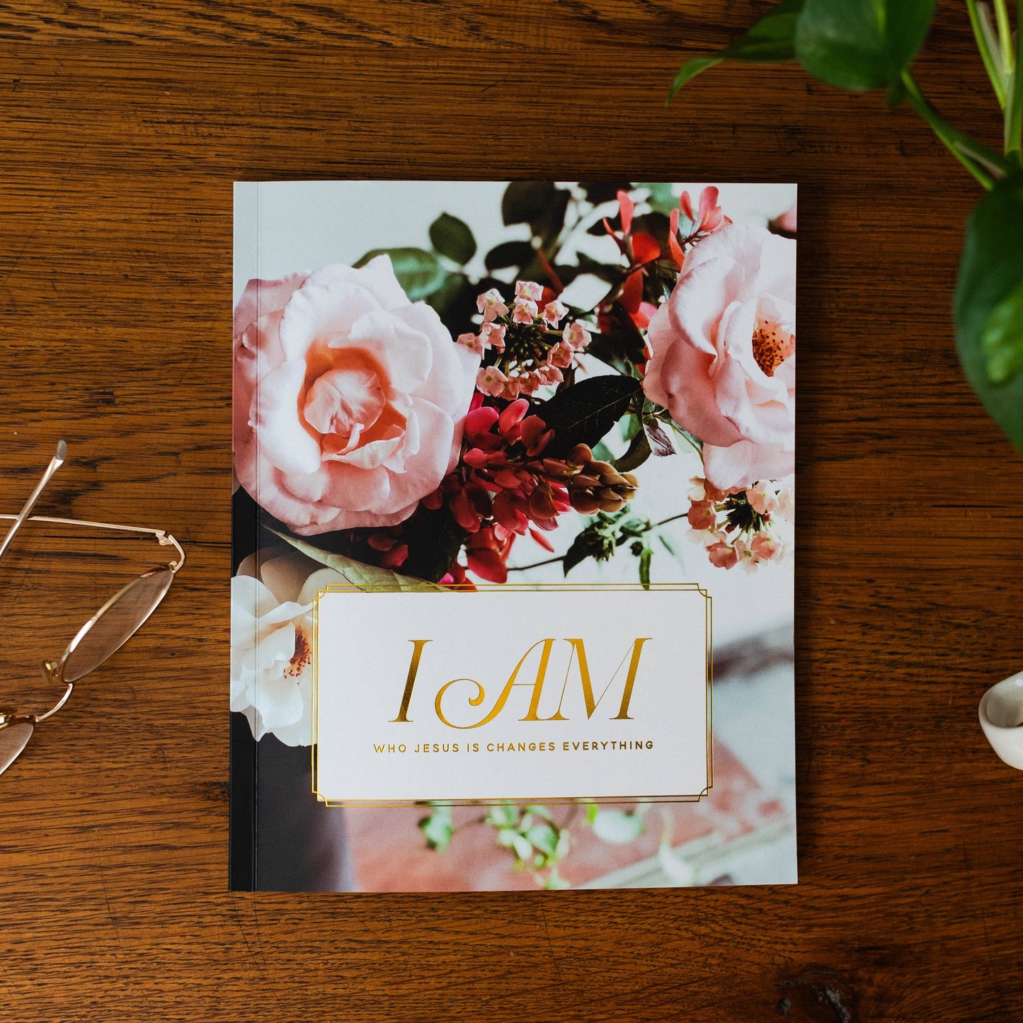 I Am | Who Jesus Is Changes Everything Bible Study
