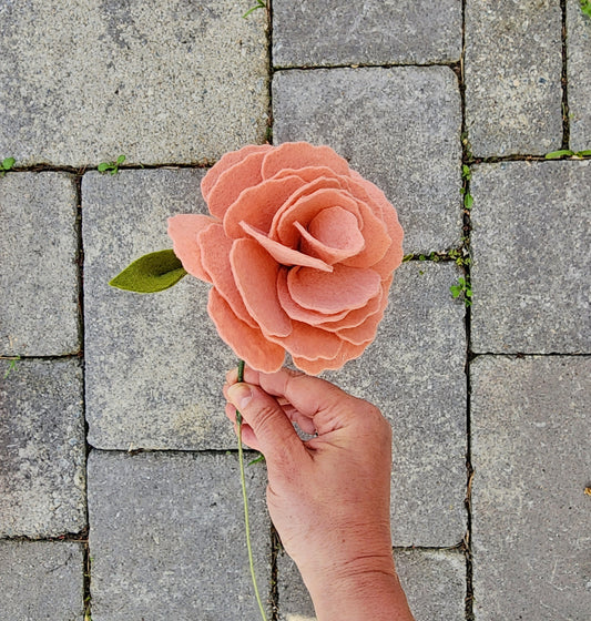 Large Carnation Stem
