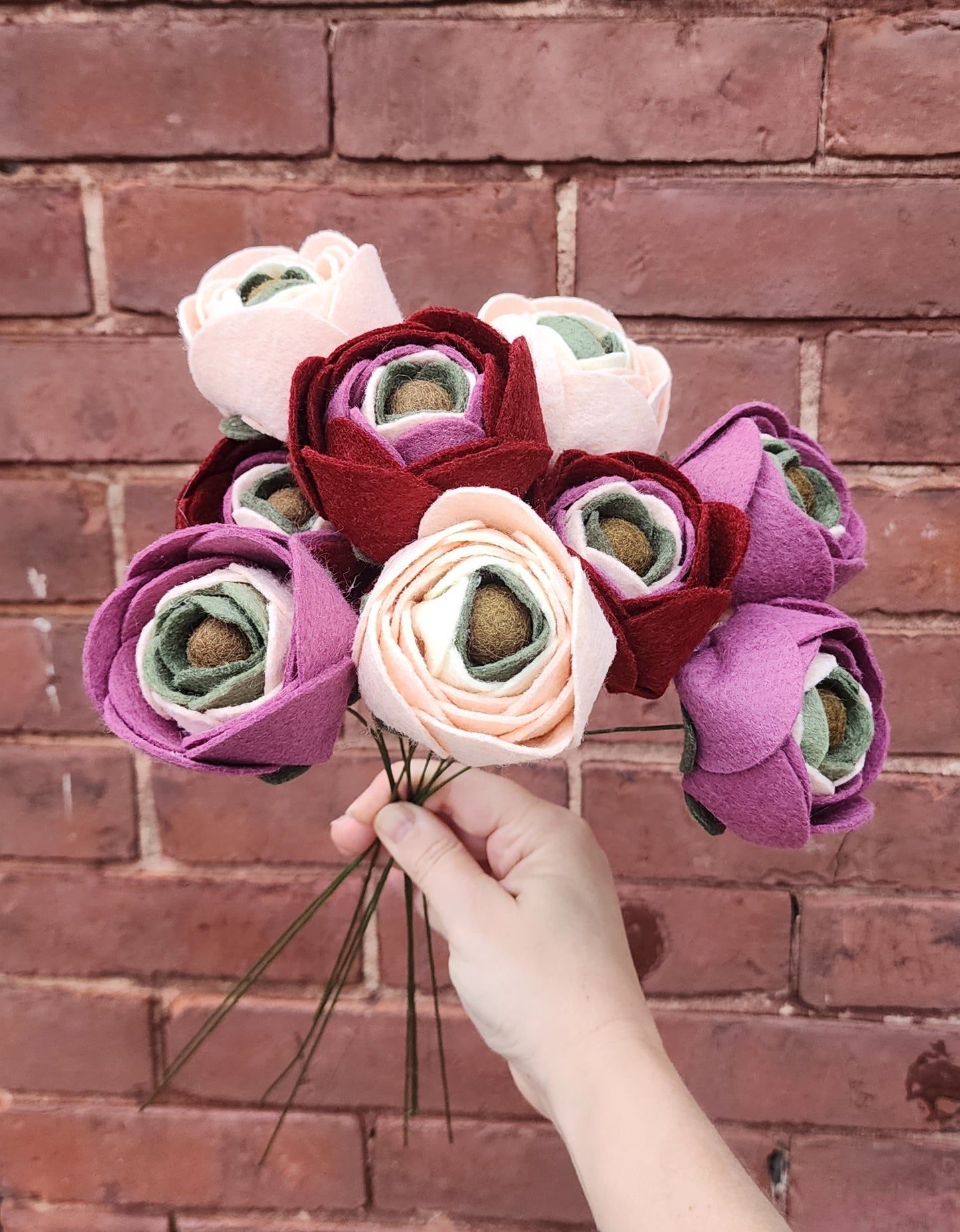 Ranunculus Stem