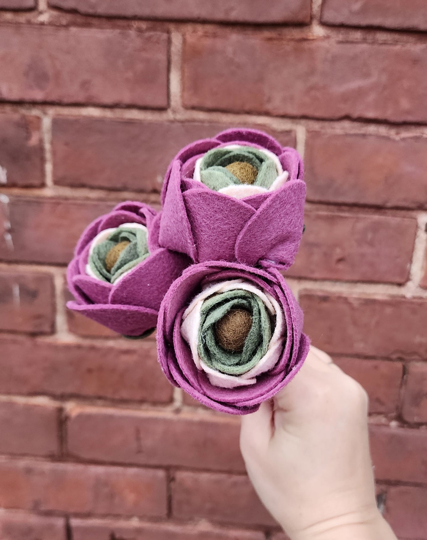 Ranunculus Stem