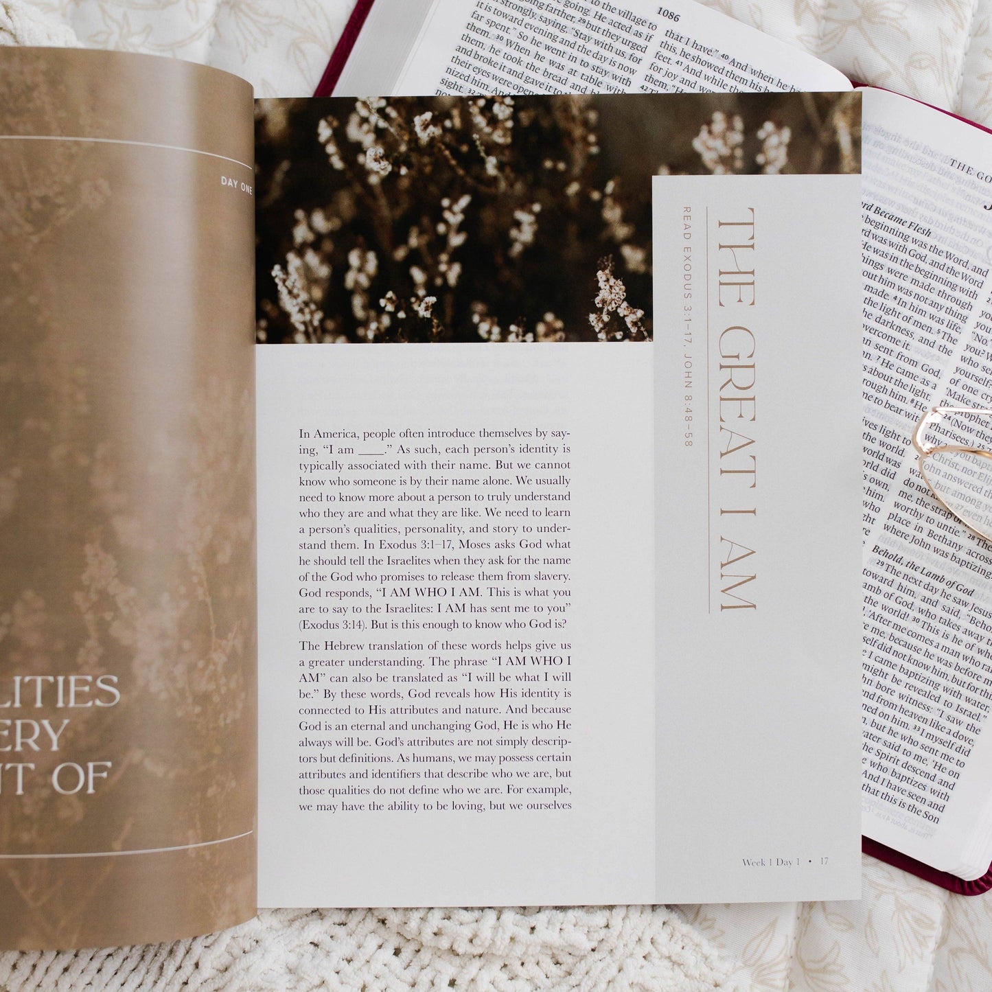 I Am | Who Jesus Is Changes Everything Bible Study