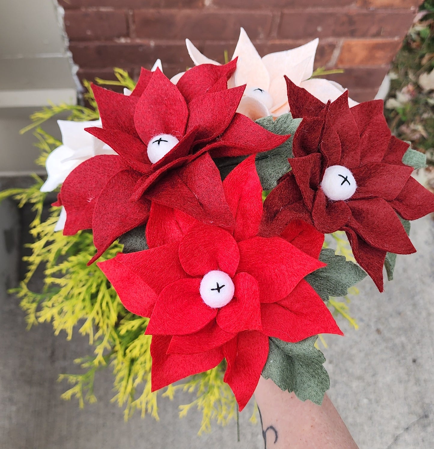 Poinsettia Stem