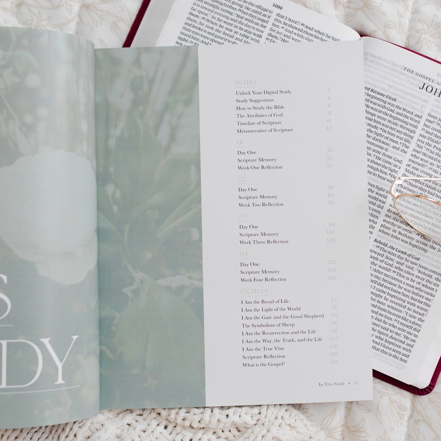 I Am | Who Jesus Is Changes Everything Bible Study