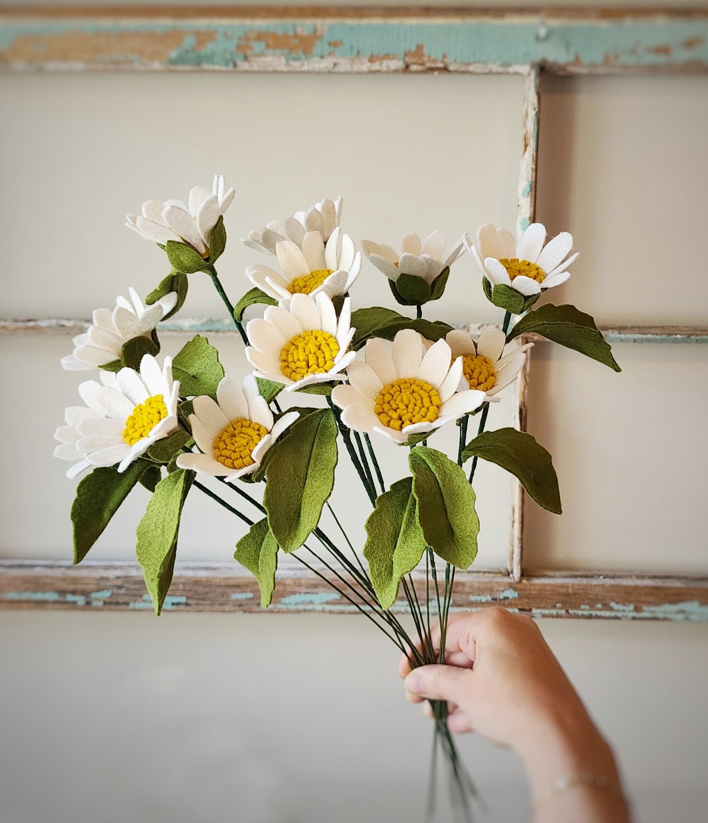 Daisy Stem