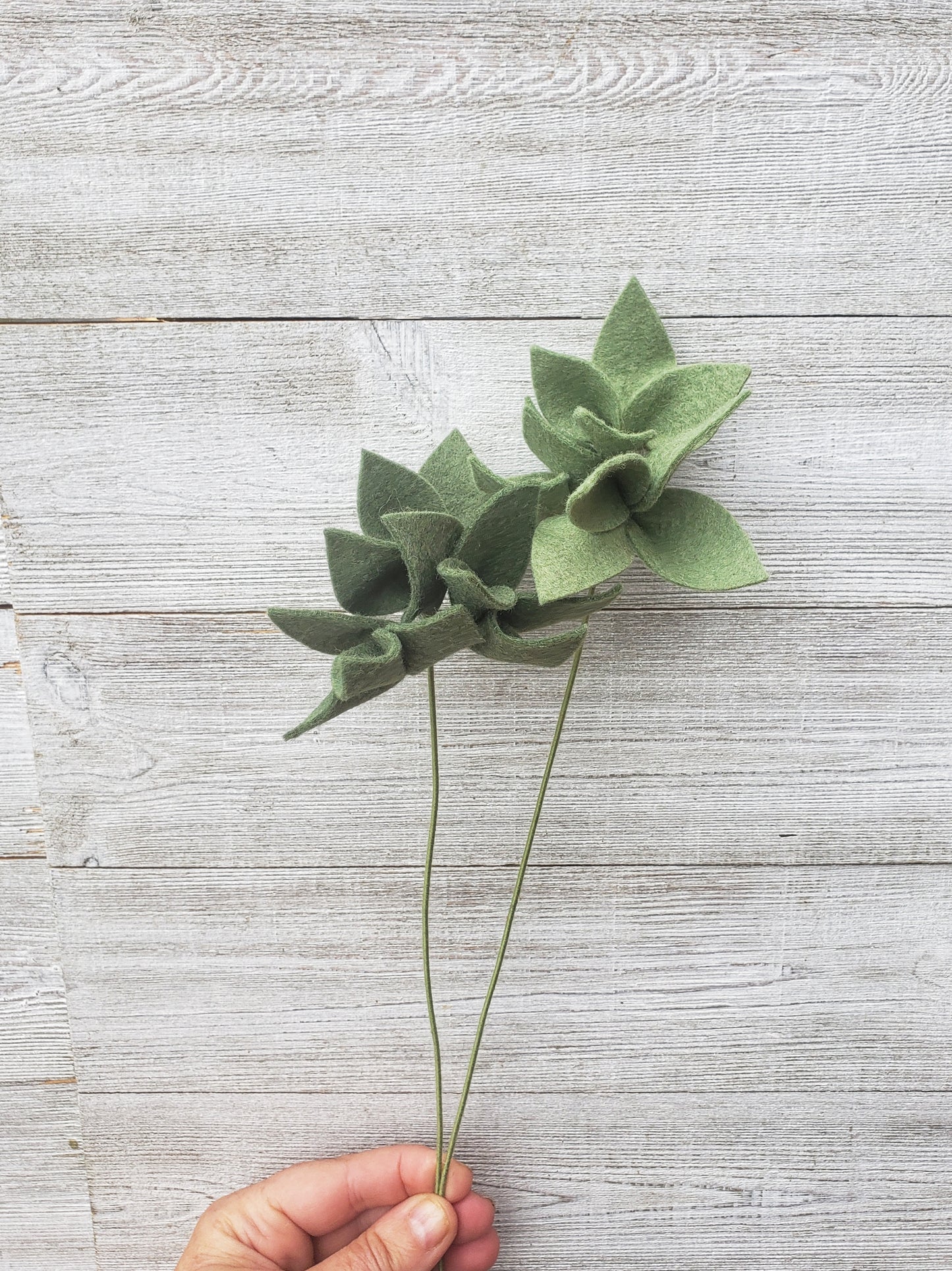 Greenery Stem