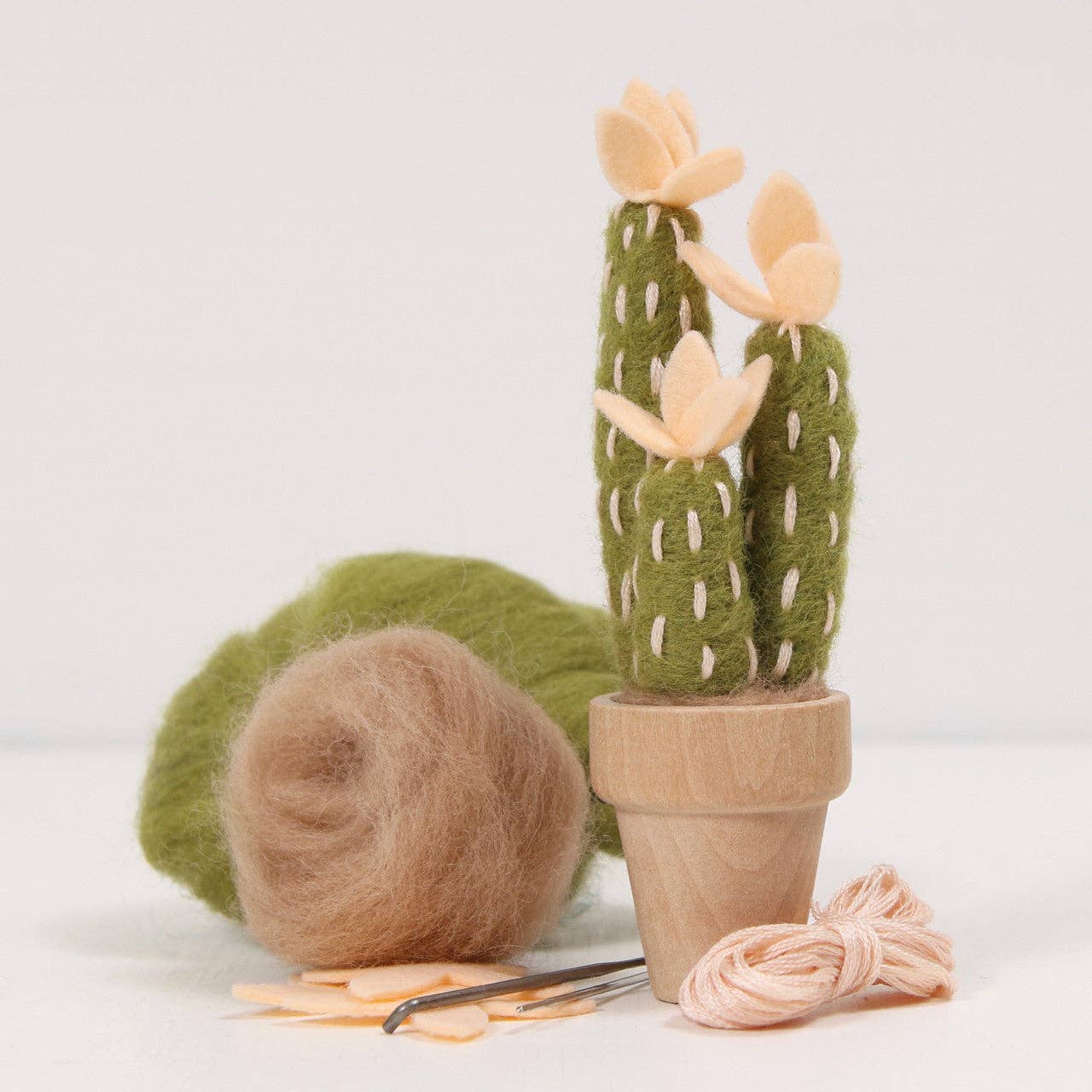 Needle Felting Kit | Cactus