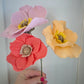 Icelandic Poppy Stem