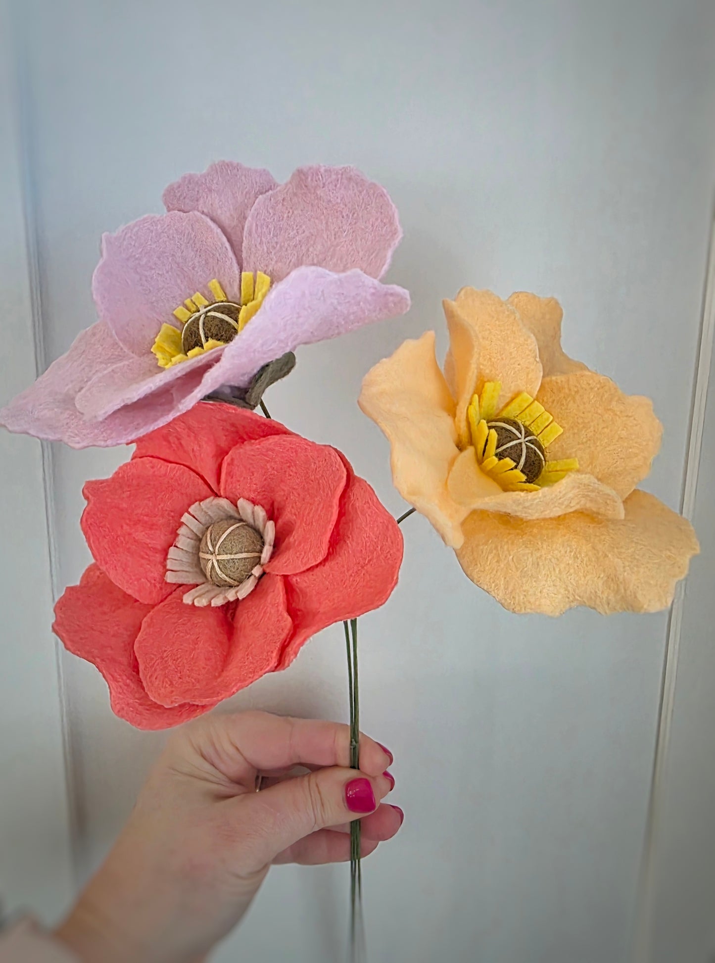 Icelandic Poppy Stem