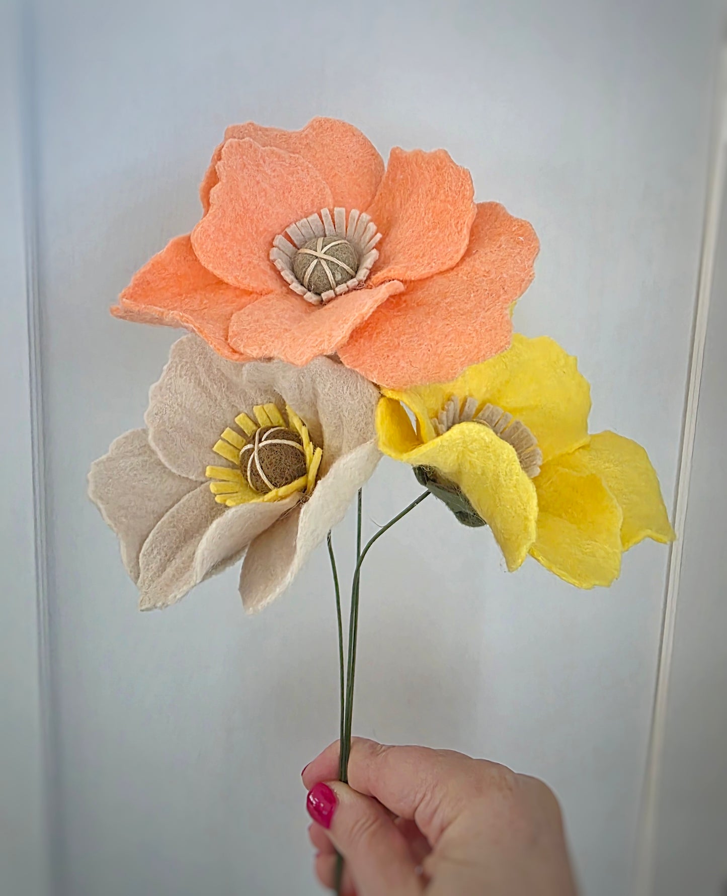 Icelandic Poppy Stem