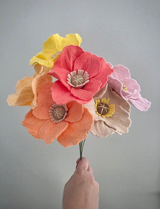 Icelandic Poppy Stem