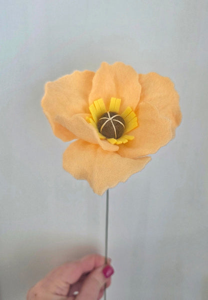 Icelandic Poppy Stem