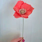 Icelandic Poppy Stem