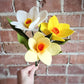 Daffodil Stem