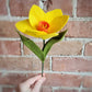 Daffodil Stem