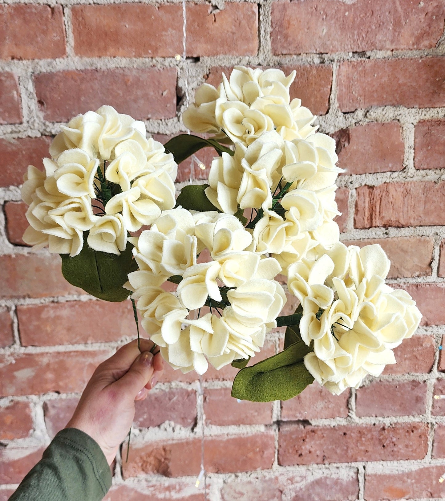 Hydrangea Stem