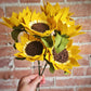 Sunflower Stem