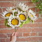 Sunflower Stem