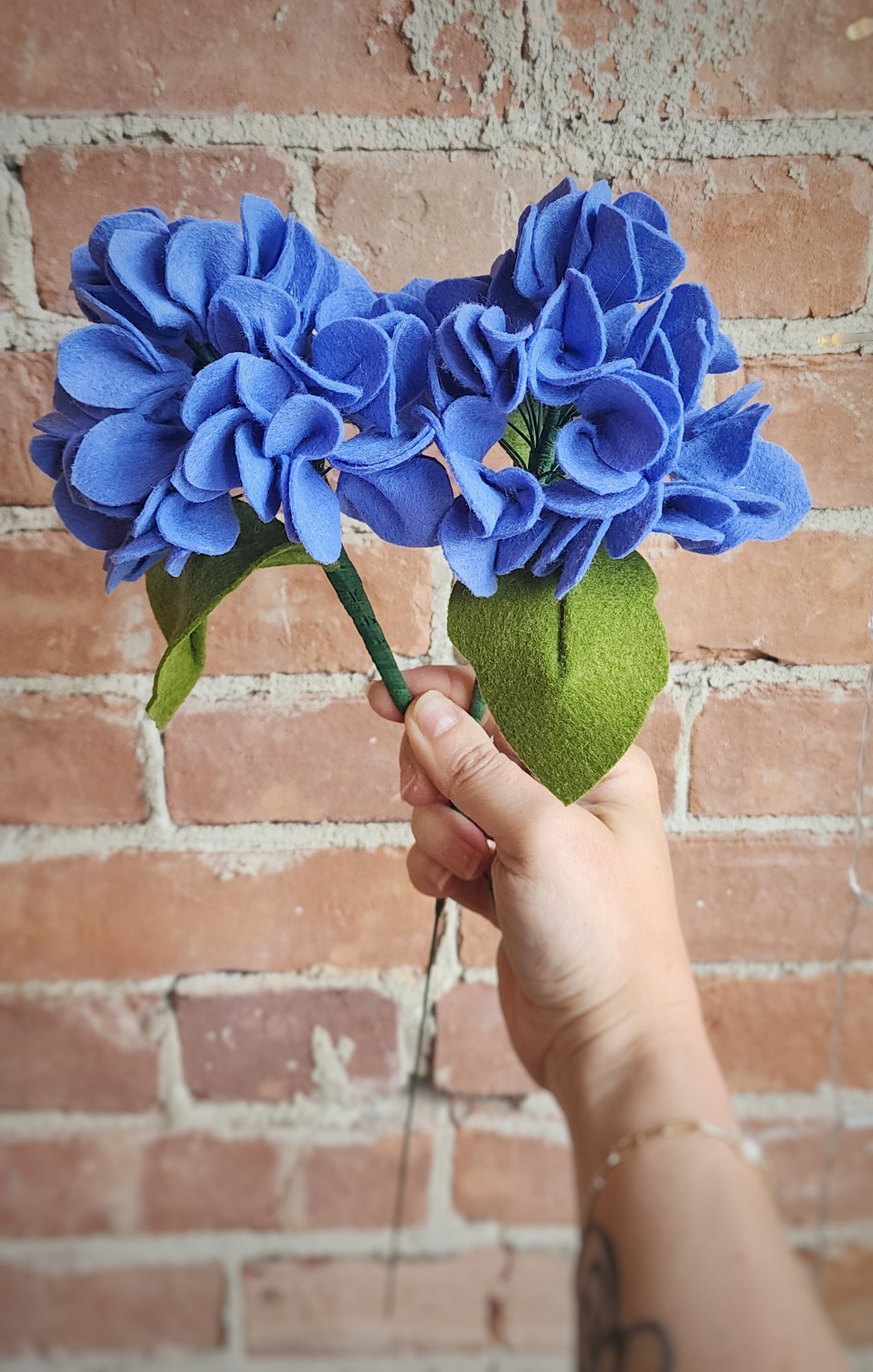 Hydrangea Stem