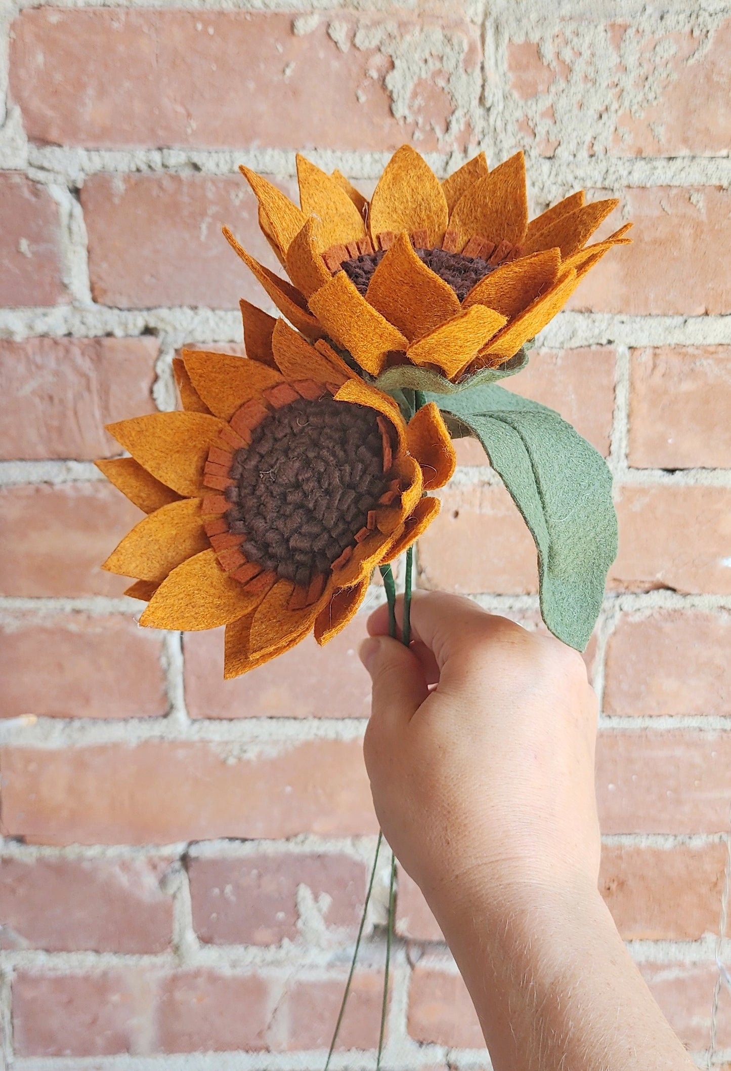 Sunflower Stem