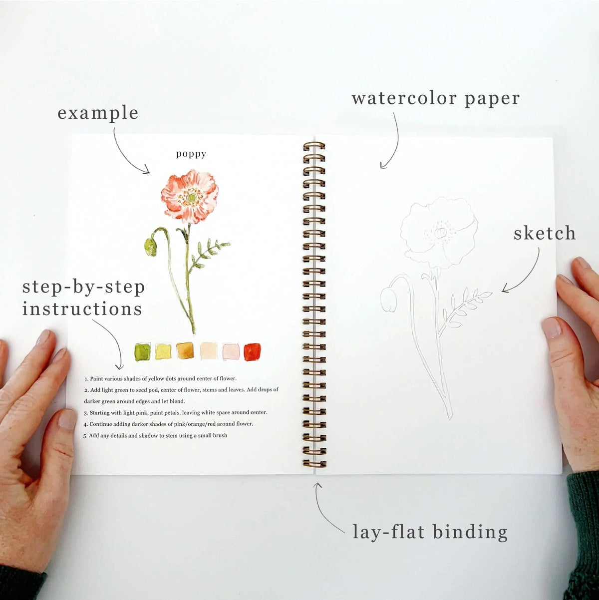 Watercolor Workbook | Flowers