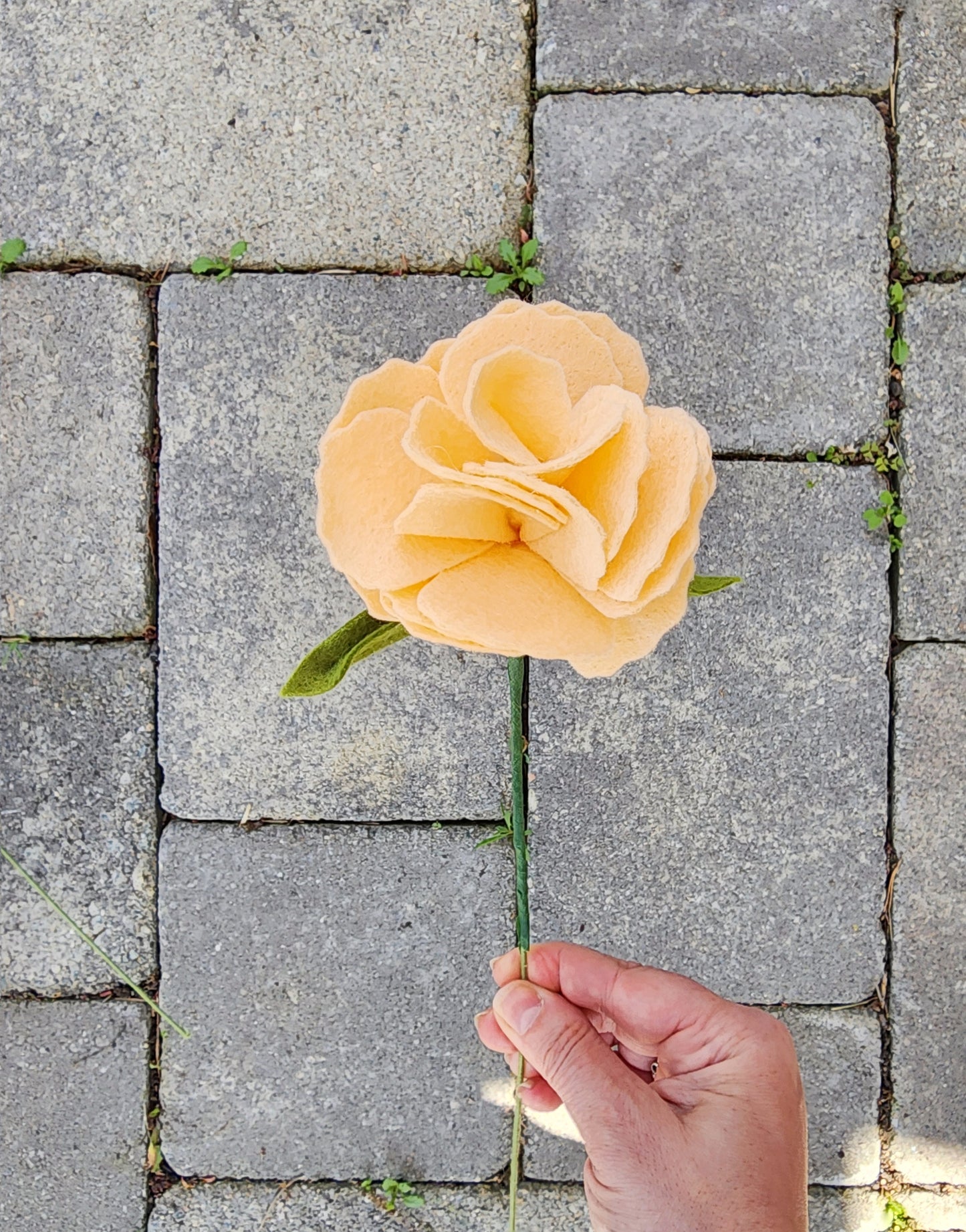 Large Carnation Stem