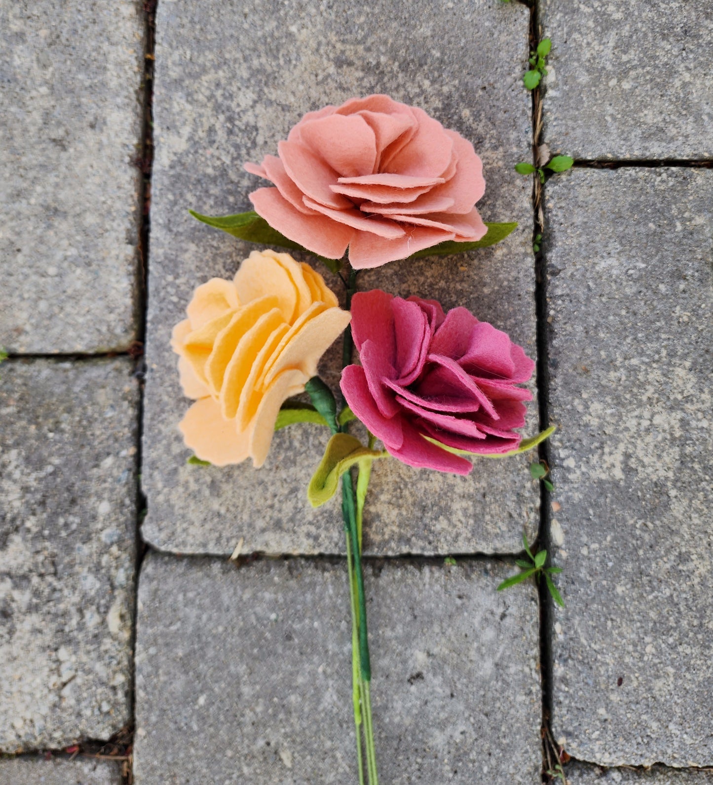 Large Carnation Stem