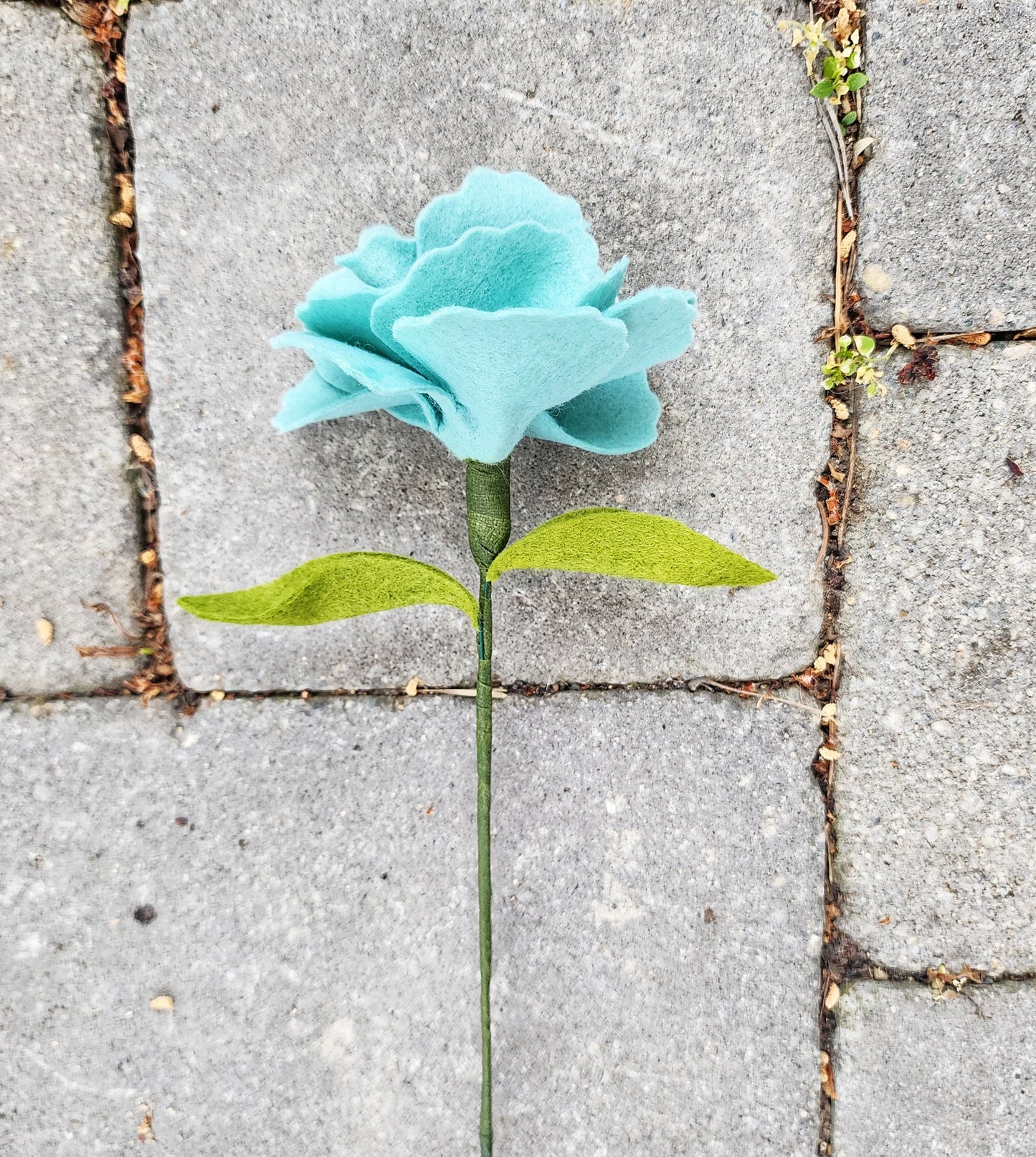 Large Carnation Stem