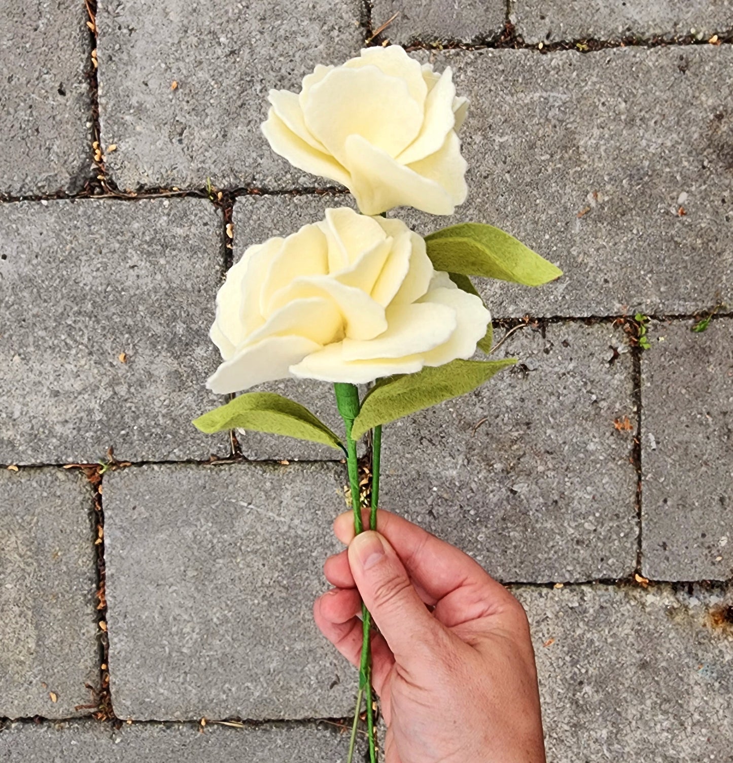 Large Carnation Stem