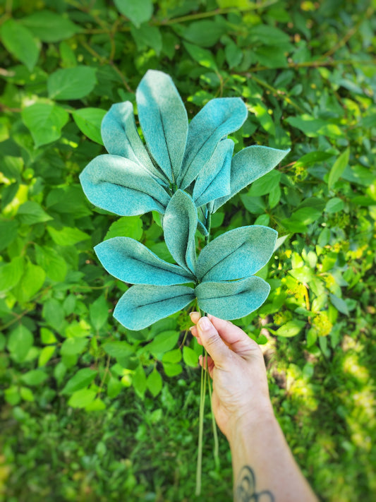 NEW! Lamb's Ear