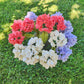 Hydrangea Stem