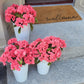 Hydrangea Stem