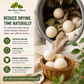 Wool Dryer Balls | Natural Fabric Softener