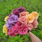 Carnation Stem