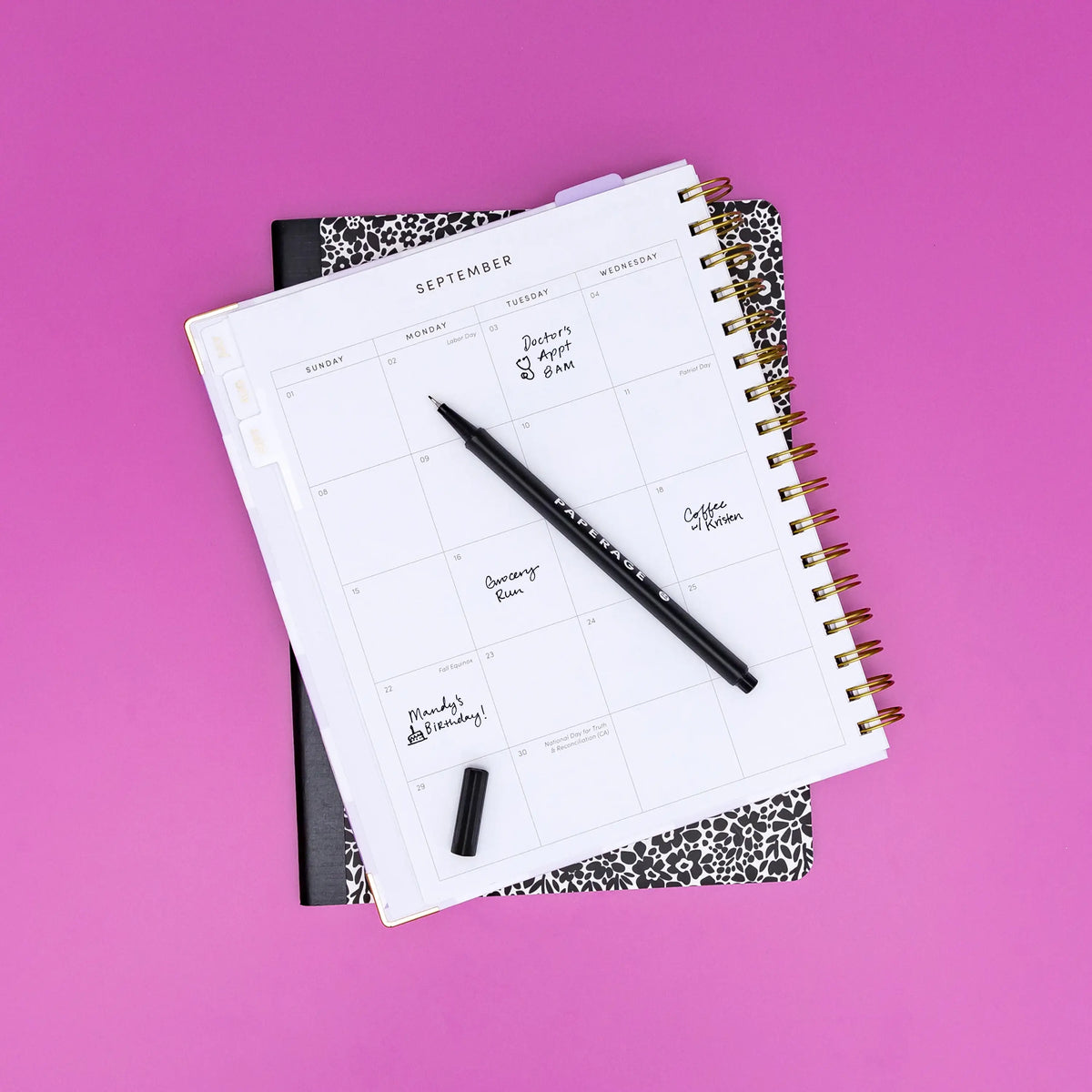 12 Pack Felt Tip Fine Line Marker Pens | Bright
