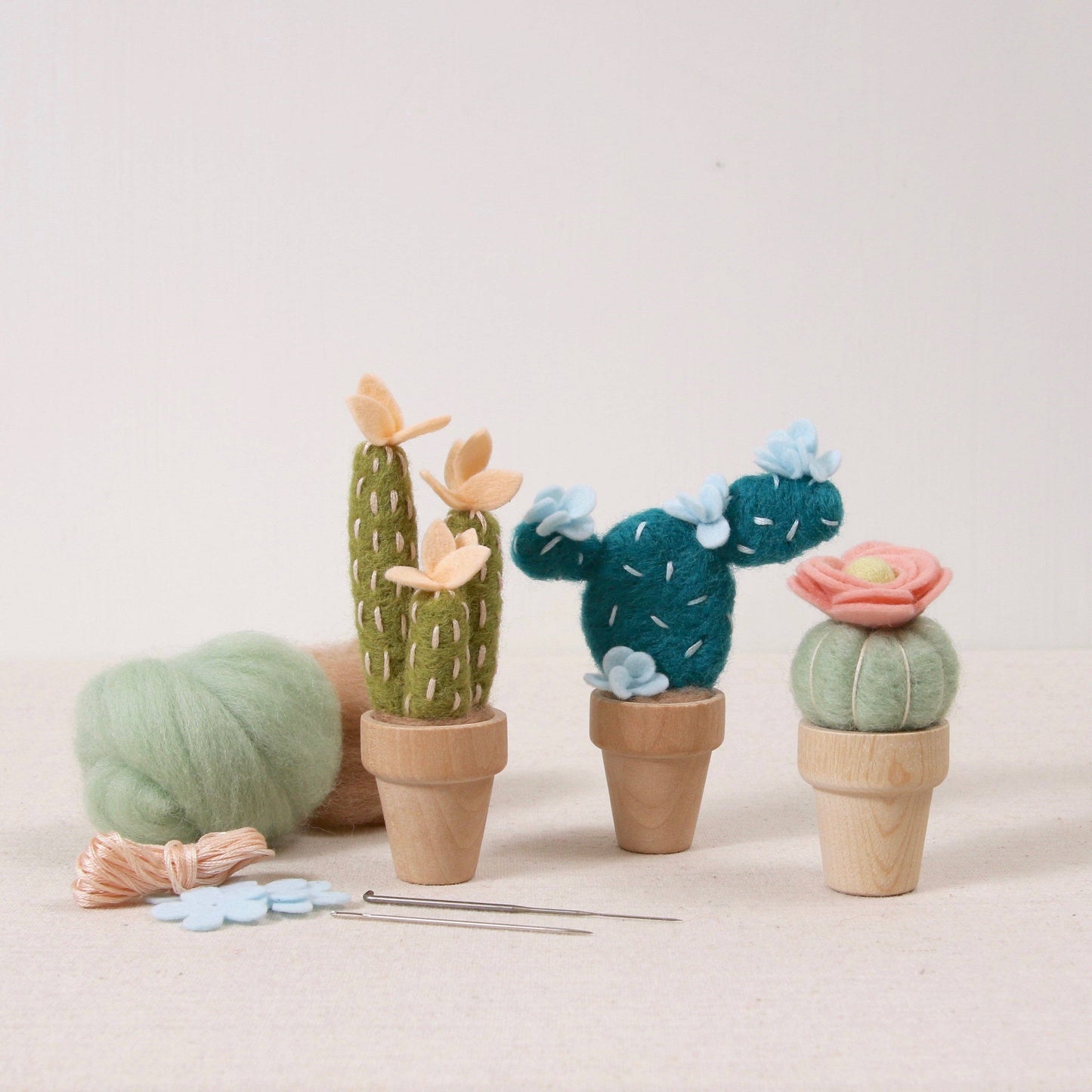 Needle Felting Kit | Cactus