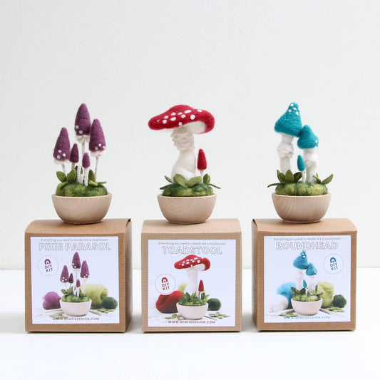 Needle Felting Kit | Mushrooms