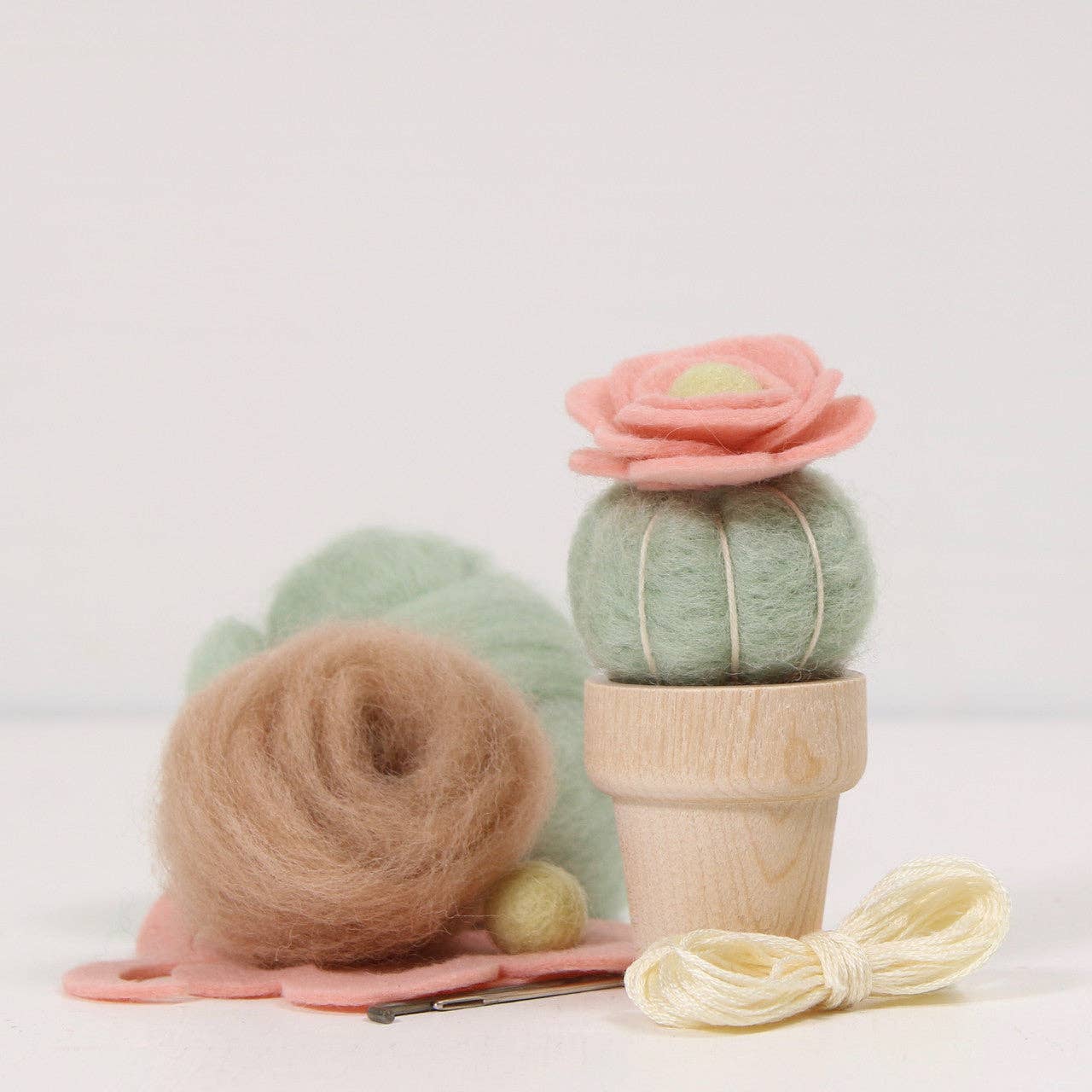 Needle Felting Kit | Cactus