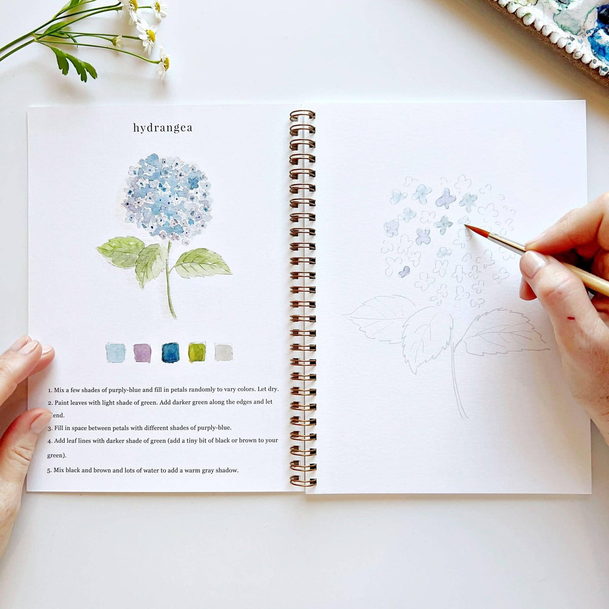 Watercolor Workbook | Flowers