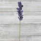 Lavender Stem