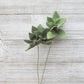 Greenery Stem