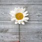 Daisy Stem