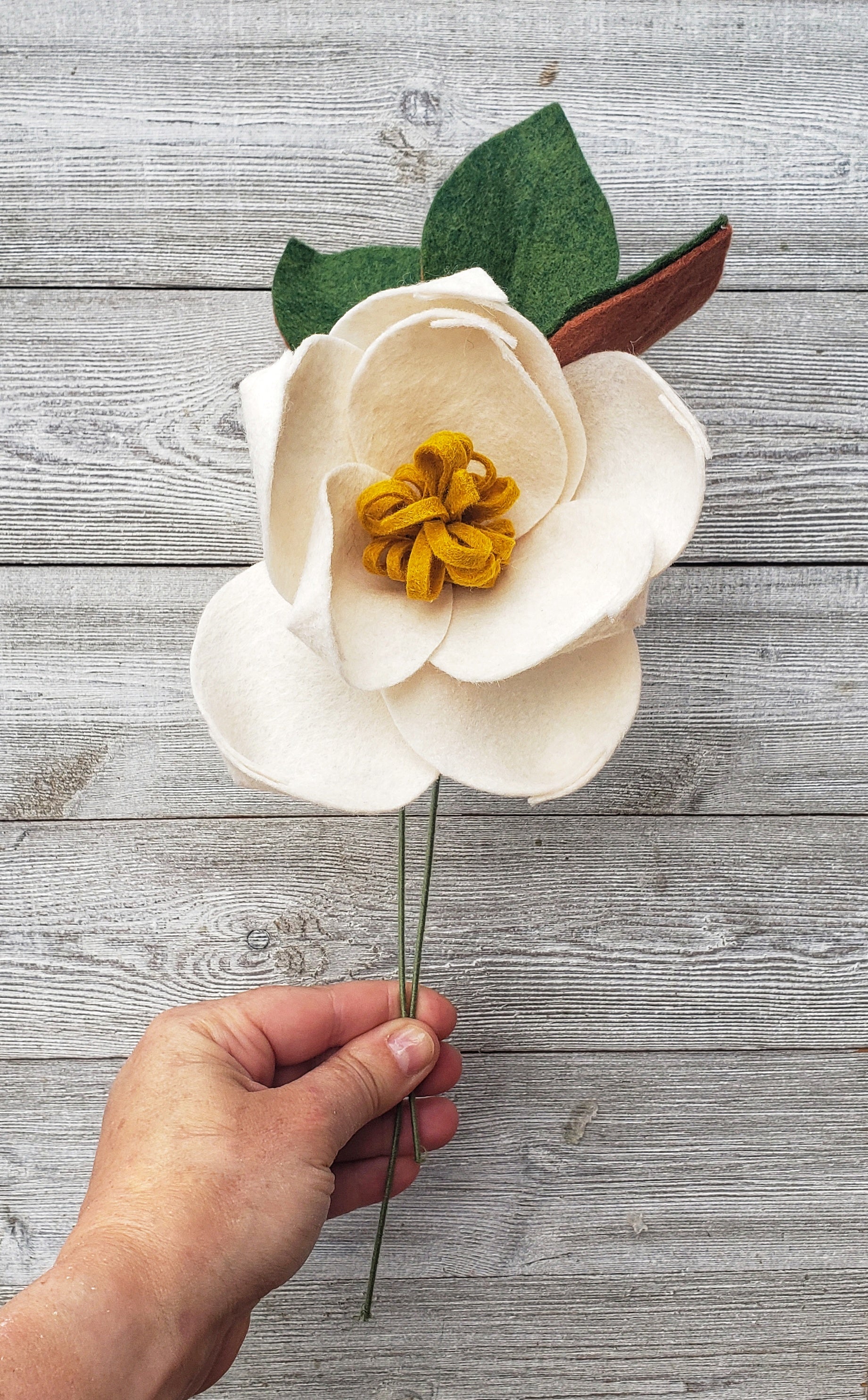 Magnolia Boutonniere 2969x1841 Felt Magnolia – madymae