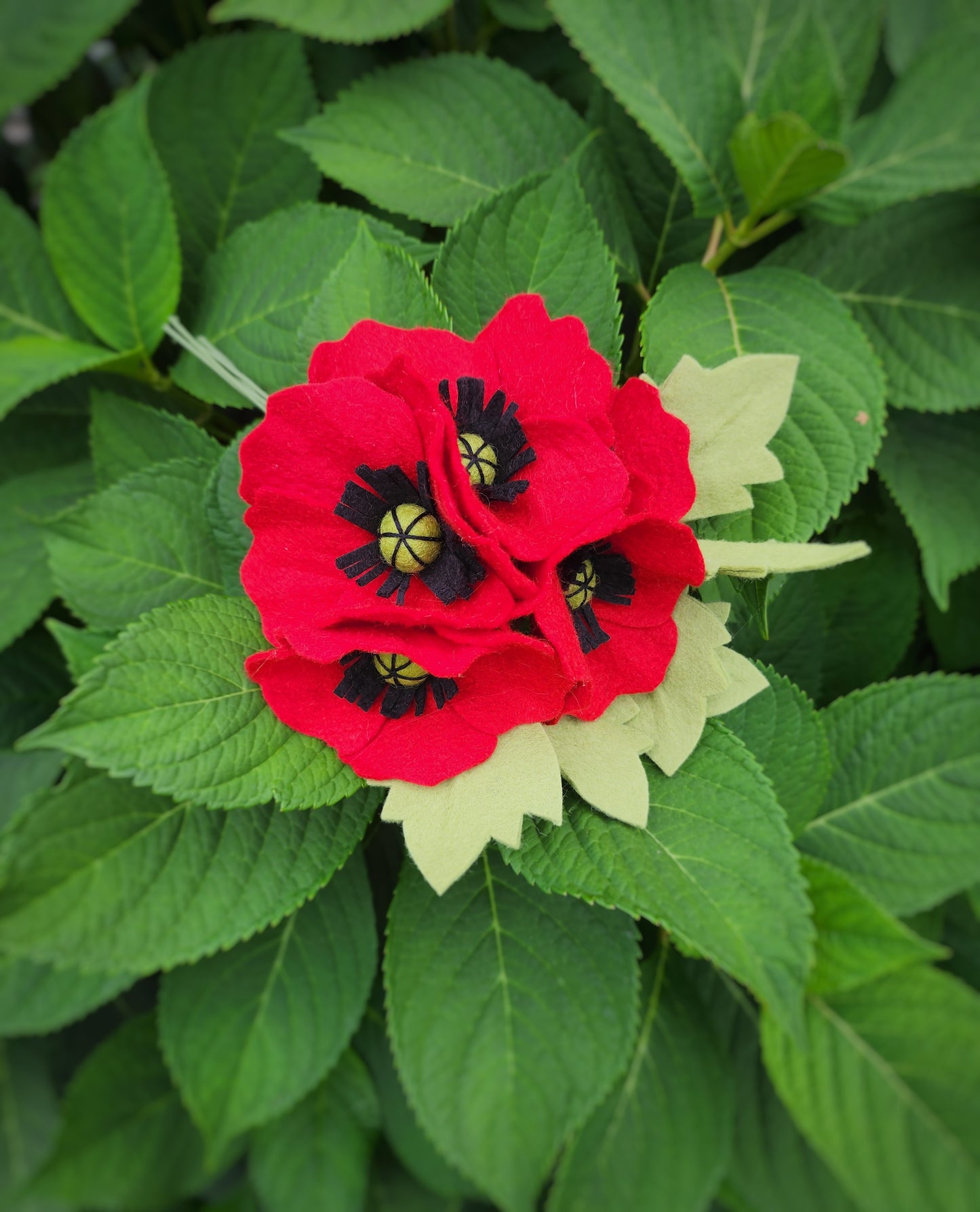 Poppy Bouquet